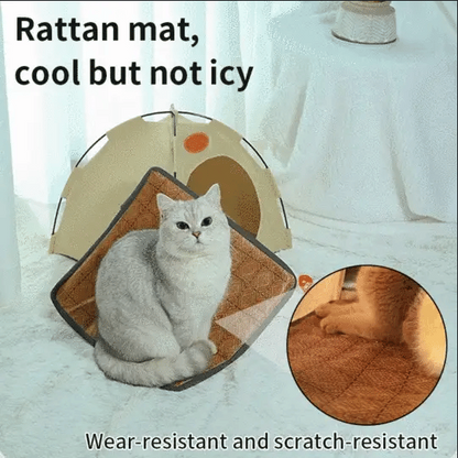 🏕️🐶🌞 LIMITED-TIME 50% OFF! Pop-Up Cooling Tent Bed – Enclosed Cozy Cave, Blocks Light & Heat, Provides a Private Retreat – Perfect for Anxious Pets or Those Who Love to Hide 🐾✨