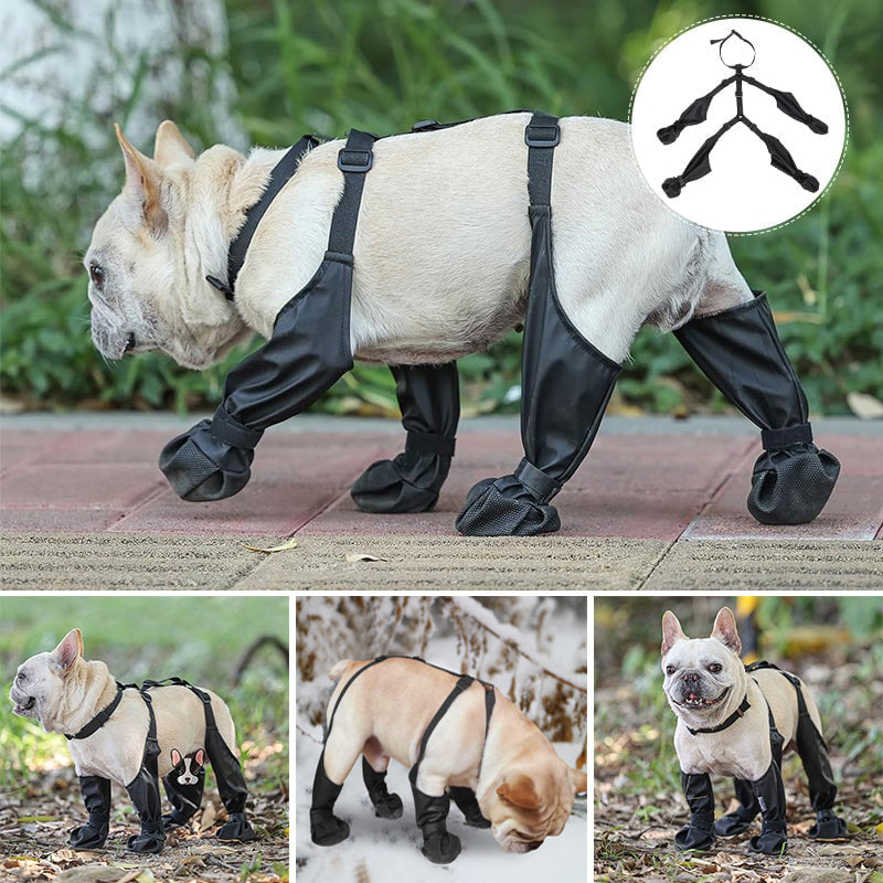 🐶 LIMITED-TIME 50% OFF! ⚡ Waterproof Boots for Pets – Anti-slip & Reflective Design 🐾