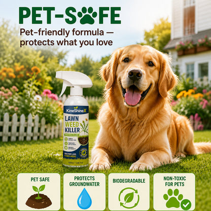 🌿Buy 2 Get 1 Free🎁[Easy and stress-free weeding in the garden] Herbicide for domestic use