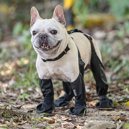 🐶 LIMITED-TIME 50% OFF! ⚡ Waterproof Boots for Pets – Anti-slip & Reflective Design 🐾