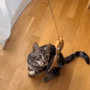 Interactive Bird Simulation Cat Toy Set