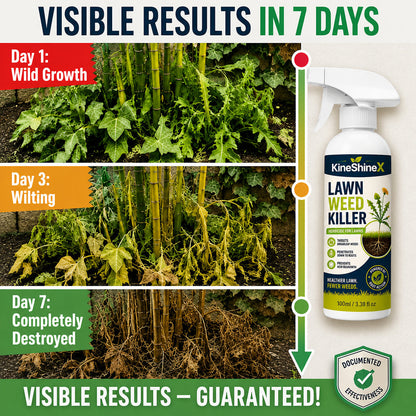 🌿Buy 2 Get 1 Free🎁[Easy and stress-free weeding in the garden] Herbicide for domestic use
