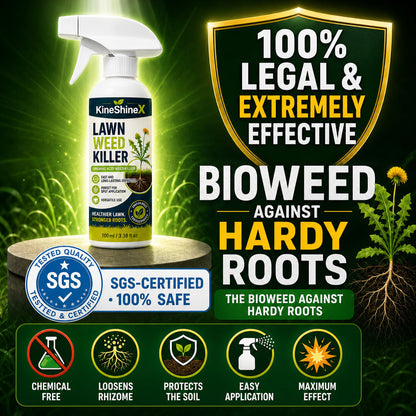 🌿Buy 2 Get 1 Free🎁[Easy and stress-free weeding in the garden] Herbicide for domestic use