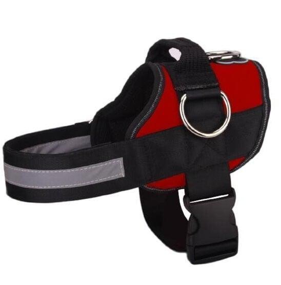 Dog Harness - 2021 Version