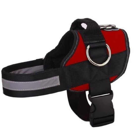 Dog Harness - 2021 Version