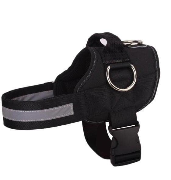 Dog Harness - 2021 Version