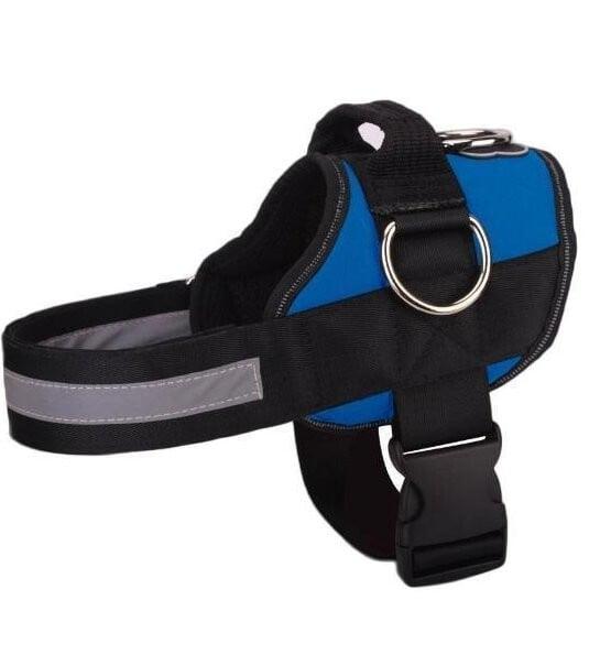 Dog Harness - 2021 Version