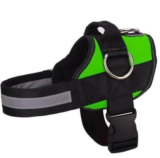 Dog Harness - 2021 Version