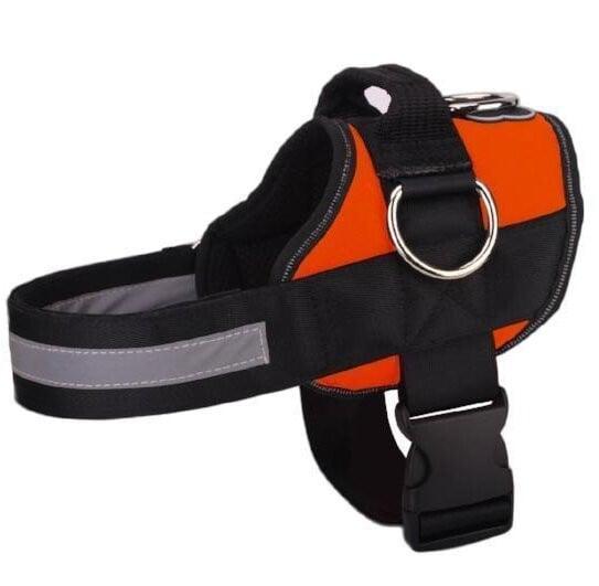 Dog Harness - 2021 Version