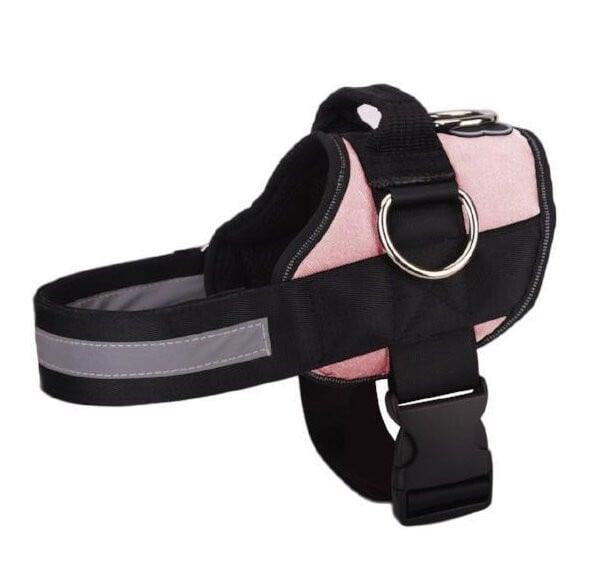 Dog Harness - 2021 Version