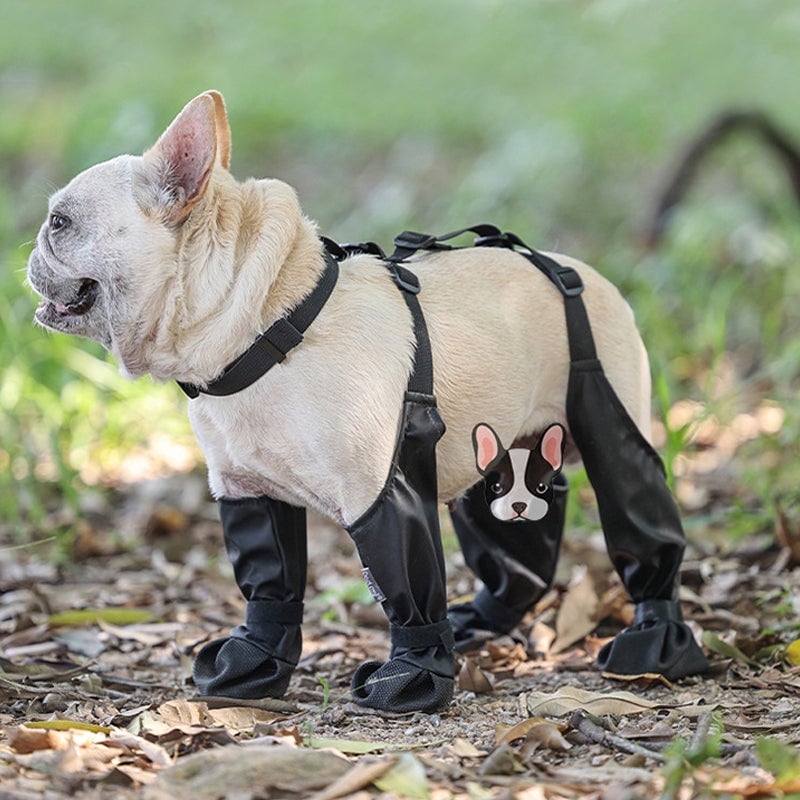 🐶 LIMITED-TIME 50% OFF! ⚡ Waterproof Boots for Pets – Anti-slip & Reflective Design 🐾