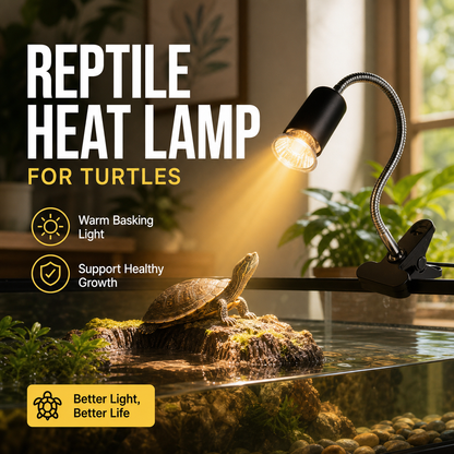Reptile Heat Lamp for Turtles