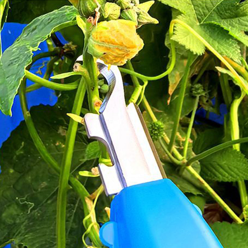 Multifunctional Pruning Tool