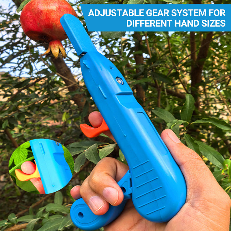 Multifunctional Pruning Tool