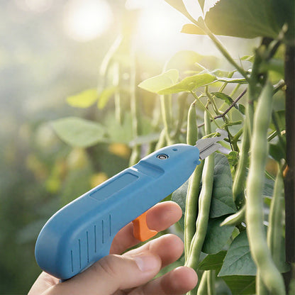 Multifunctional Pruning Tool