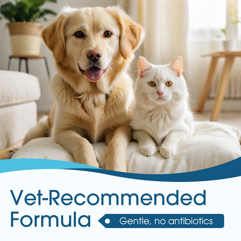 🐶 Ear cleaner | Relieves itching in dogs & cats