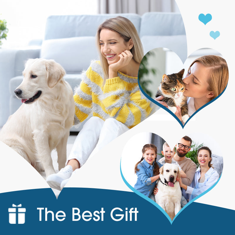 🐶 Ear cleaner | Relieves itching in dogs & cats