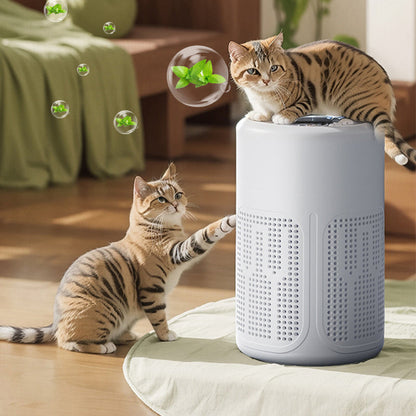 🔥🌬️ Compact Home Air Purifier – Quiet, Energy-Efficient & Perfect for Allergies, Dust & Pet Hair 🏠✨