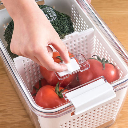 🔥50%OFF Sale🔥Fresh Produce Vegetable Fruit Storage Container