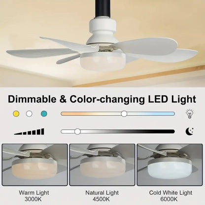 🔥sale 60%OFF-🎁2-IN-1 PORTABLE CEILING FAN & LIGHT with Remote Control