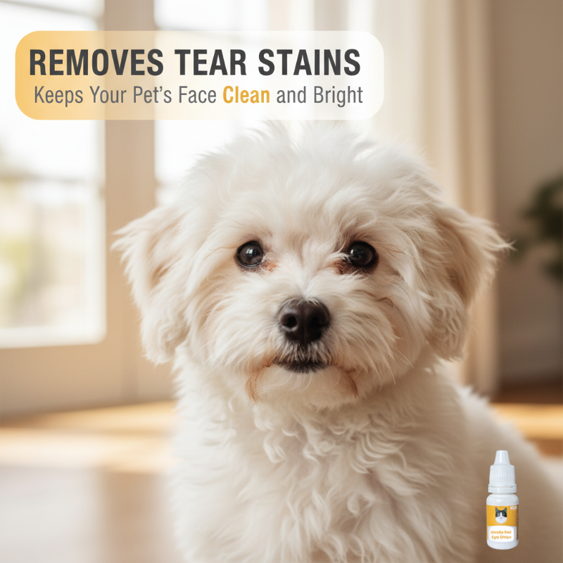 🏆 2026 Sale — Over 22,100 Sold!✨ Gentle Pet Eye Drops for Dogs & Cats 👁️