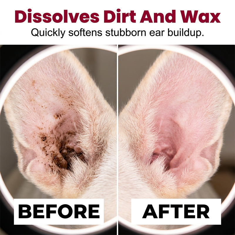 🐶50% OFF !!🐱Pet Ear Cleaning Essence