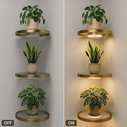 💡 Floating shelf. Built-in glow. Instant luxury. Maximize wall space, add ambient light, and make your home look like a showroom – no renovation needed. 😎✨