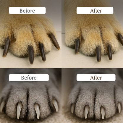 🎁2026 New Arrivals 50% OFF💥Pet Nail Clippers with LED Light – Precision blade, built-in light & safety guard – Stress-free grooming for dogs & cats at home 🛁