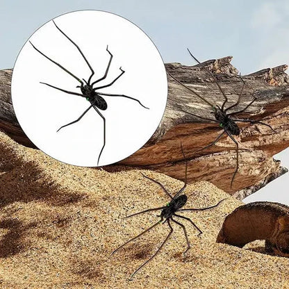 🎉 2026 Sale — Over 8,000 Sold! 🕷️ Realistic Spider Magnets – Trick or Treat Your Fridge, Garage & Car — Halloween Fun All Year! 🏠