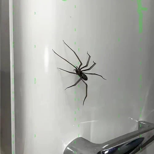 🎉 2026 Sale — Over 8,000 Sold! 🕷️ Realistic Spider Magnets – Trick or Treat Your Fridge, Garage & Car — Halloween Fun All Year! 🏠