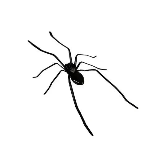 🎉 2026 Sale — Over 8,000 Sold! 🕷️ Realistic Spider Magnets – Trick or Treat Your Fridge, Garage & Car — Halloween Fun All Year! 🏠