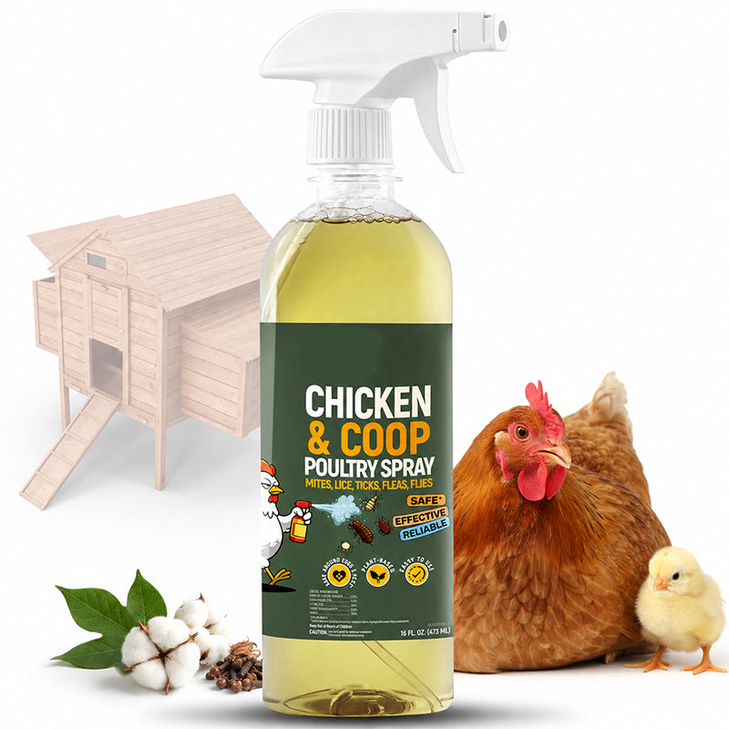 🐔 Botanical Poultry & Coop Care Spray for Routine Maintenance