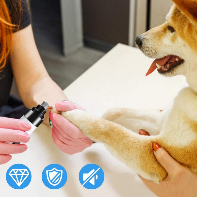 🐾 Stress-Free Nail Care for Happy Paws ✨