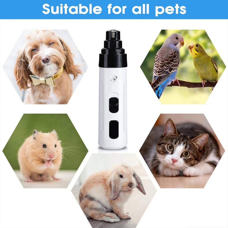🐾 Stress-Free Nail Care for Happy Paws ✨
