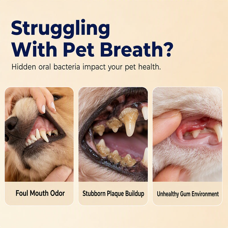 Pet Breath Freshener Spray for Dogs and Cats