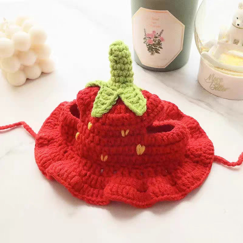 Cute Knitted Pet Hat