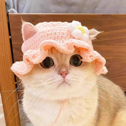 Cute Knitted Pet Hat