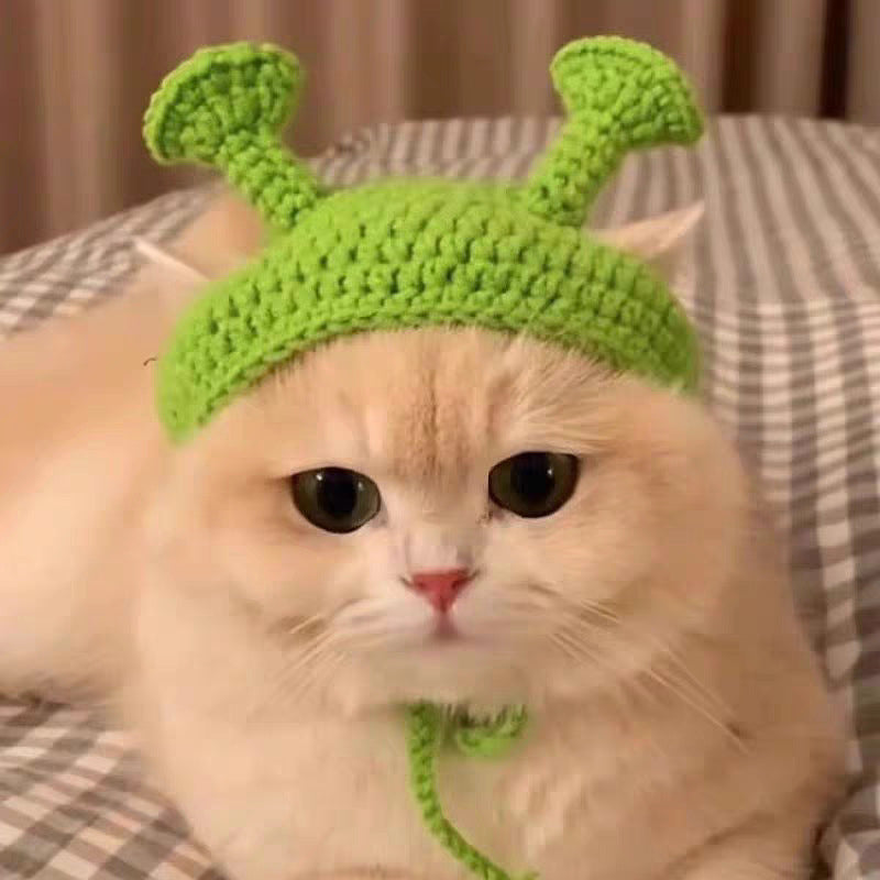 Cute Knitted Pet Hat
