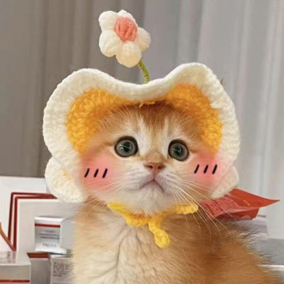 Cute Knitted Pet Hat