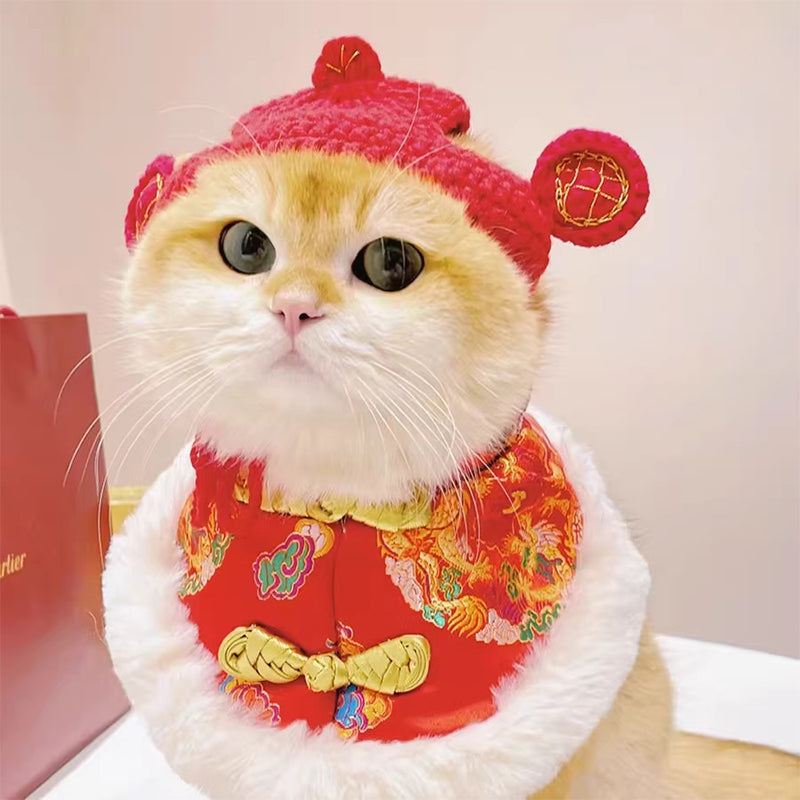 Cute Knitted Pet Hat