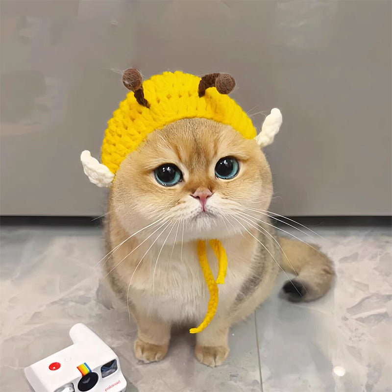Cute Knitted Pet Hat