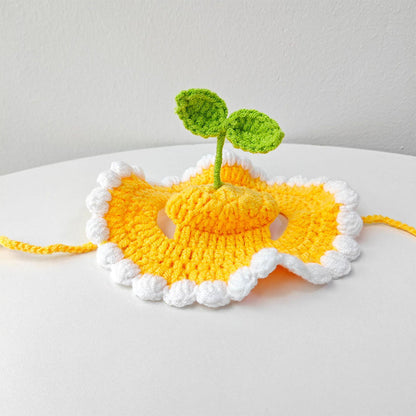 Cute Knitted Pet Hat