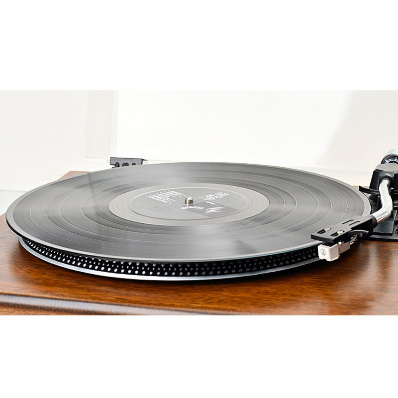 Anti-Static Vinyl Record Cleaning Spray