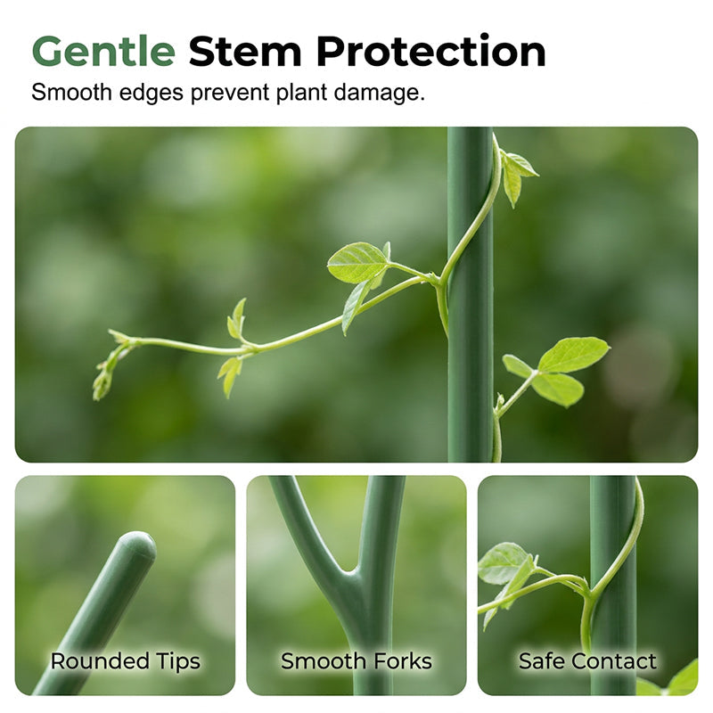 Green Garden Stakes for Climbing Plants
