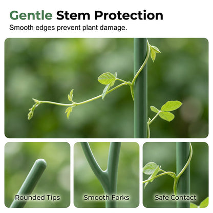 Green Garden Stakes for Climbing Plants
