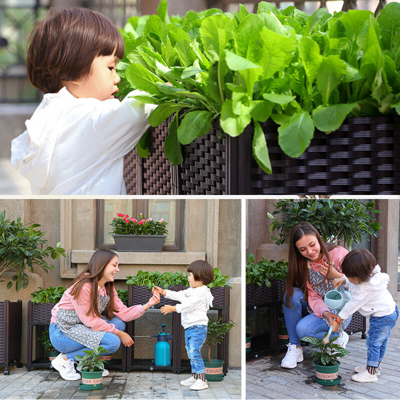 🌱 Save 50%! 🥬 Multifunctional Planting Box – Grow veggies & herbs easily ✨