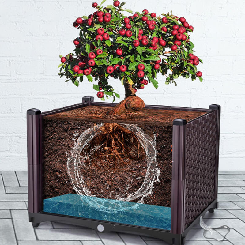 🌱 Save 50%! 🥬 Multifunctional Planting Box – Grow veggies & herbs easily ✨