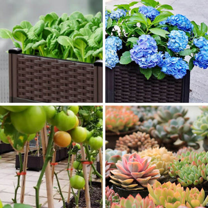 🌱 Save 50%! 🥬 Multifunctional Planting Box – Grow veggies & herbs easily ✨