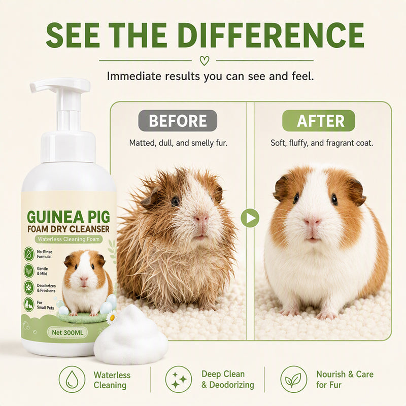 No-Rinse Guinea Pig Shampoo Foam