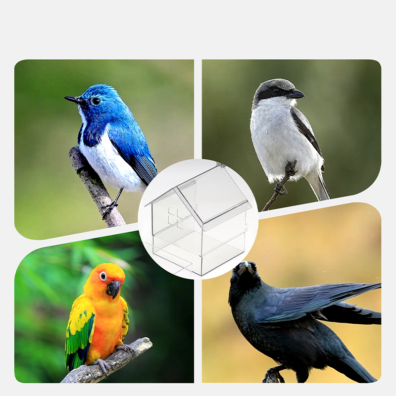 Pull-Out External Parrot Feeder